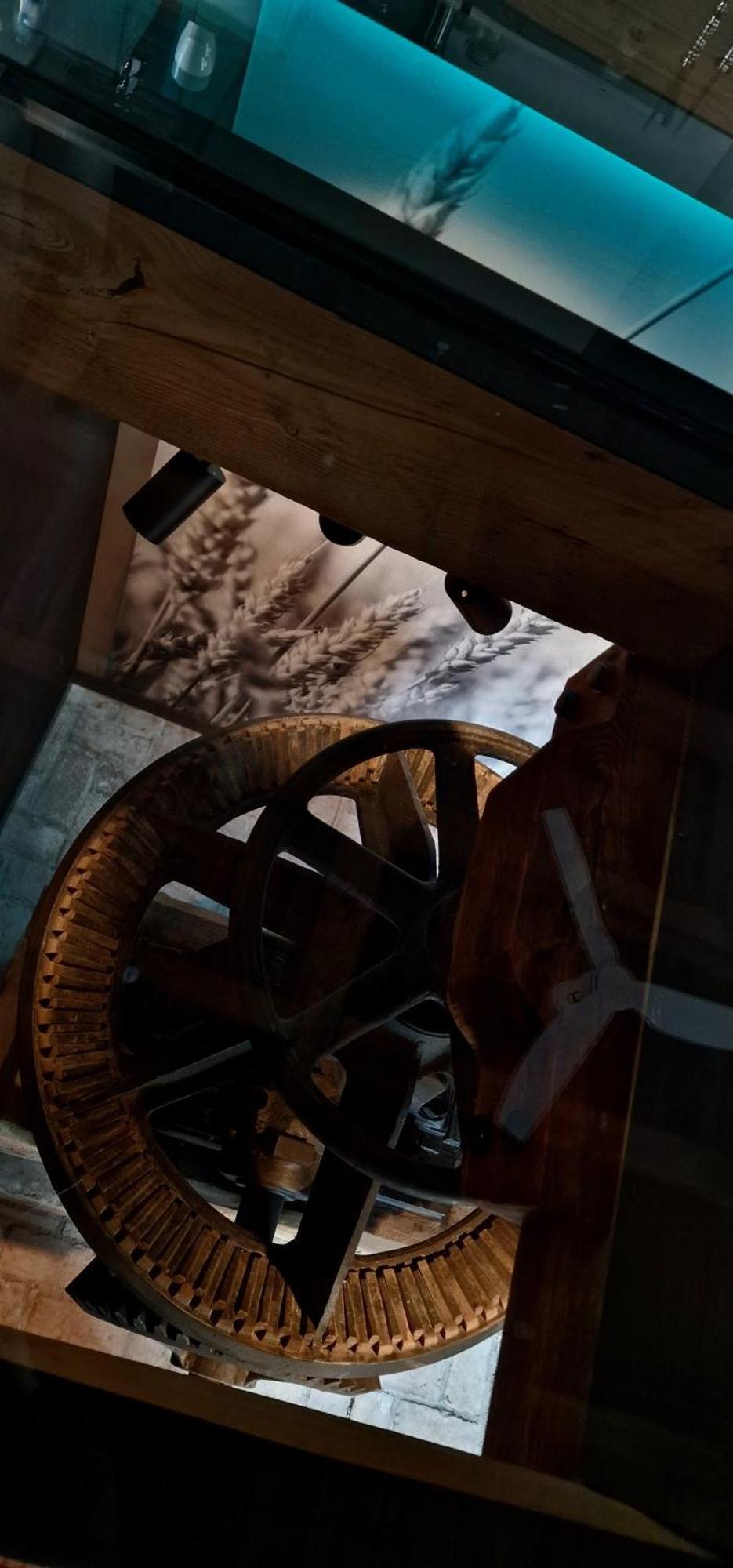 Die Muehle Appartements Samtens Bagian luar foto