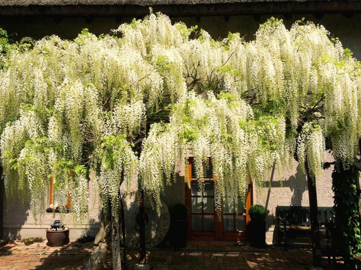 Die Muehle Appartements Samtens Bagian luar foto